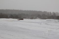 IMG 0063