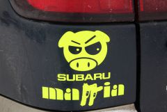 IMG 9893