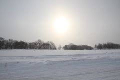 IMG 0060