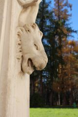IMG 8651